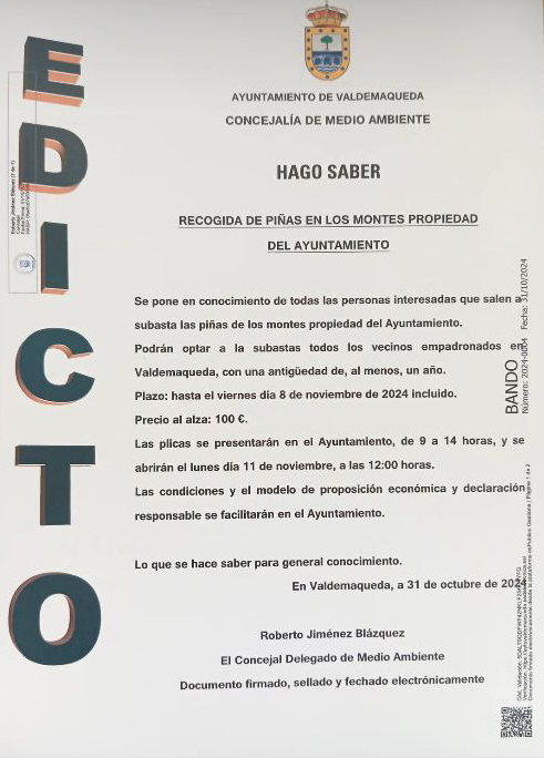Edicto recogida de pinas