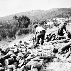 Fotos Antiguas Valdemaqueda 19